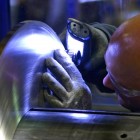 ARS recrute un(e) Technicien(ne) Maintenance